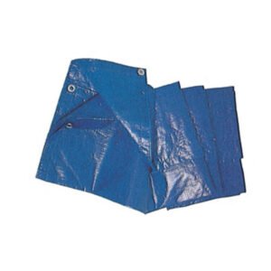 C TELO OCCHIELLATO PE 5 X 6M 85GR BLU