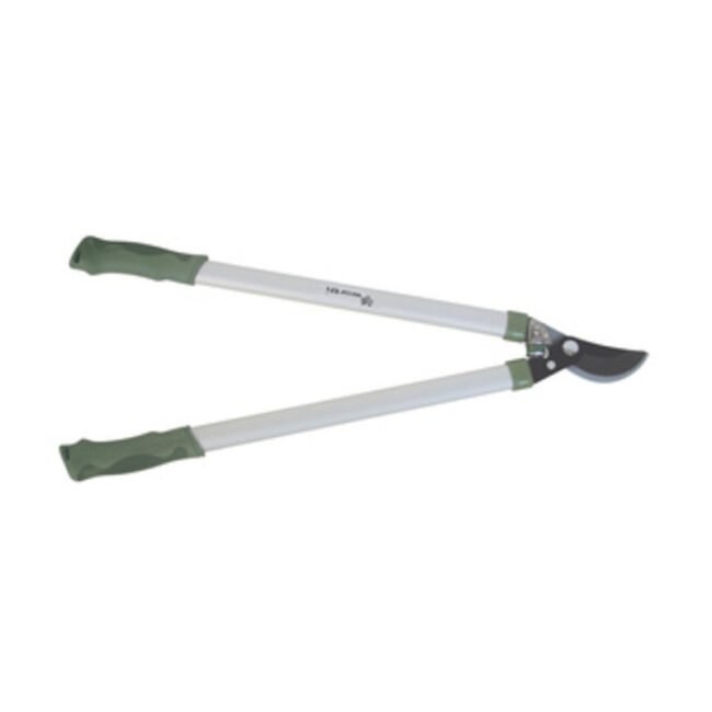 WORTH 1214 TRONCARAMI 64 CM