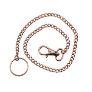 PORTACHIAVI C/CATENA CARTELLA 20 PZ