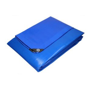 C TELO OCCHIELLATO PE 5 X 8M 85GR BLU