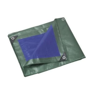 C TELO OCCHIELLATO PE 2 X 2M 110GR VERDE/BLU