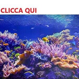 PANNELLO IN PVC SPECIAL 3D CORAL REEF 602x1002 mm