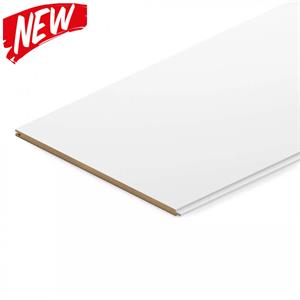 BIG DOGA CLASSIC IN MDF WHITE MIS 205X6X2750 MM