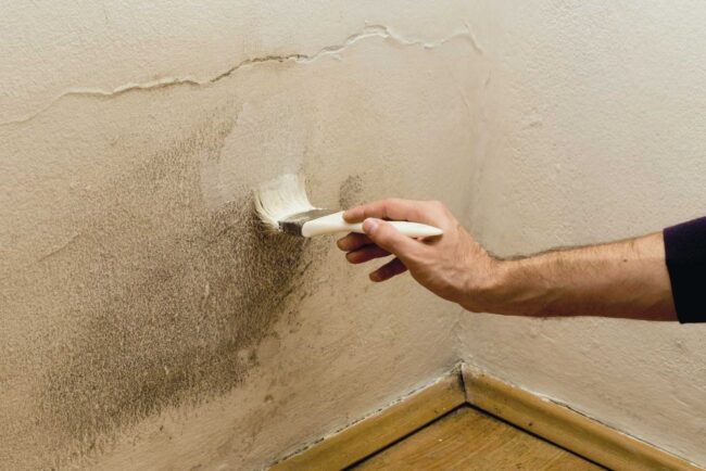 PARETI VIVE DETERGENTE SANIFICANTE 5 LITRI - immagine 2
